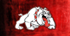 Springford wilson high