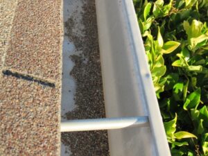 granules in gutters